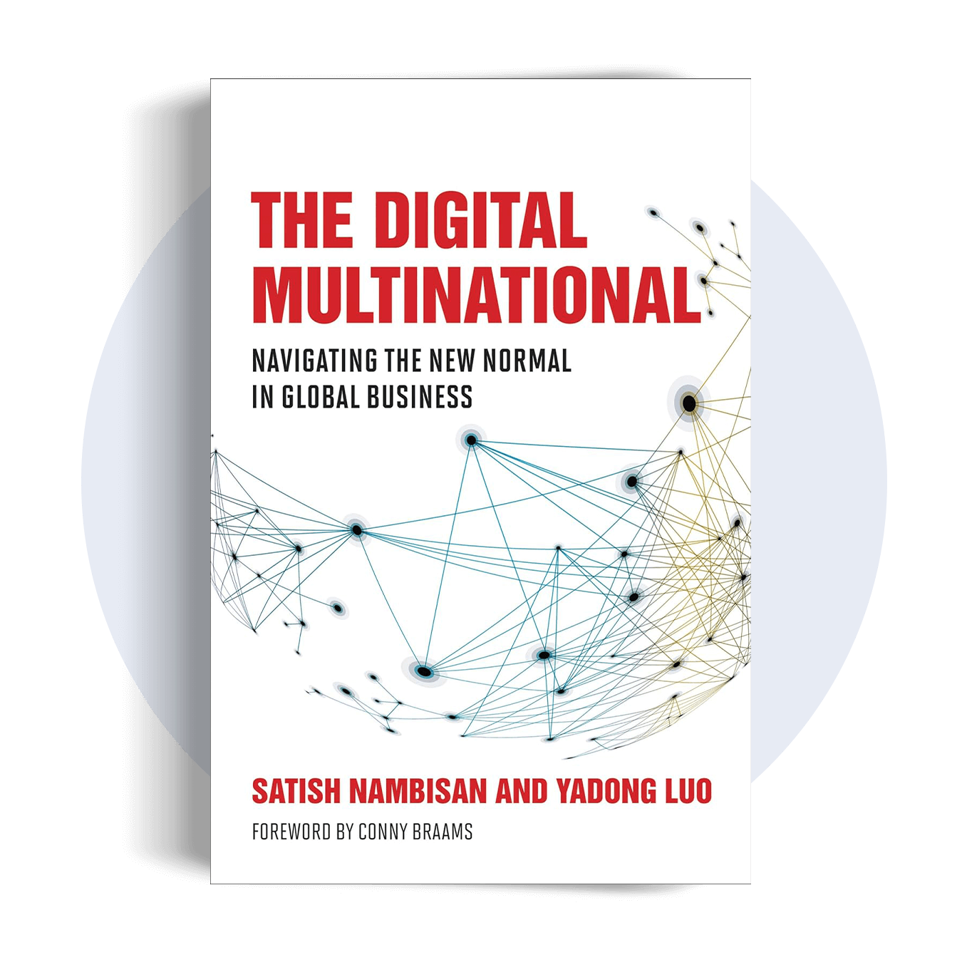 digital-multinational-navigating-business-management-ebook